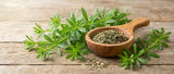Cleavers